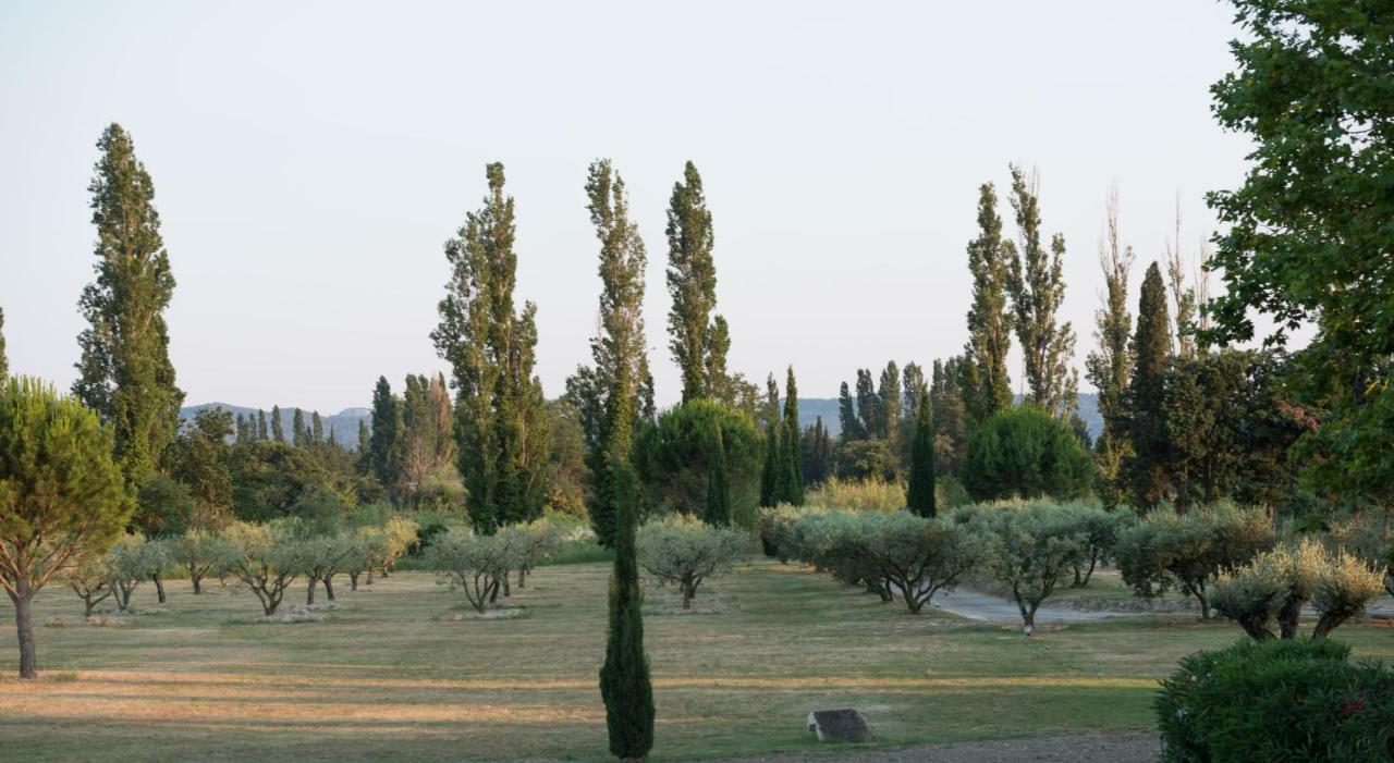 Domaine De Fontbelle Bed and Breakfast Graveson Eksteriør billede